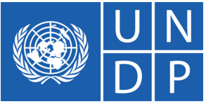 undp-logo-png_seeklogo-322648